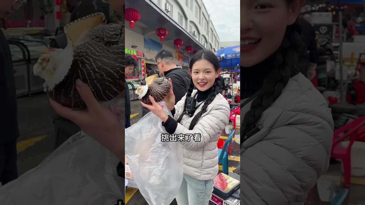 Discover China's Giant Coconut Snails - Set Up Your Own Stall! CoconutSnails SnailBusiness