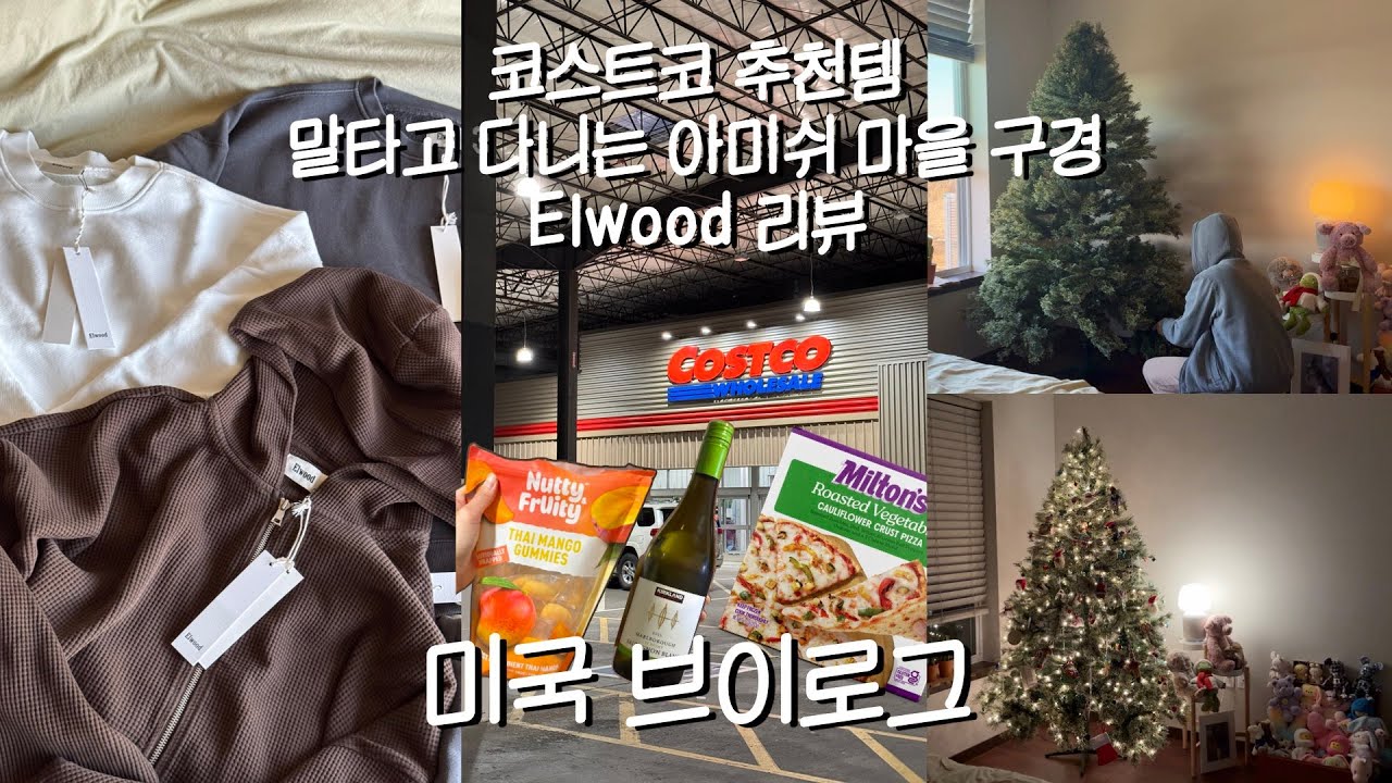 미국 아이오와 VLOG🇺🇸코스트코 추천템(JMT 망고젤리, 컬리플라워 피자)⎟Elwood 후드 옷 후기⎟아미쉬 마을 Kalona 구경⎟트리 꾸미기⎟뜻끼 방어⎟하정우 와인