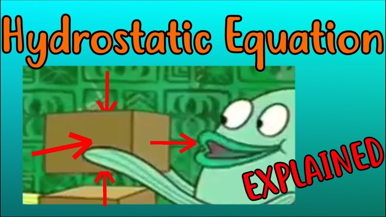 3 Derivation of the Hydrostatic Equation EXPLAINED Fluid Mechanics for Chemical Engineers
