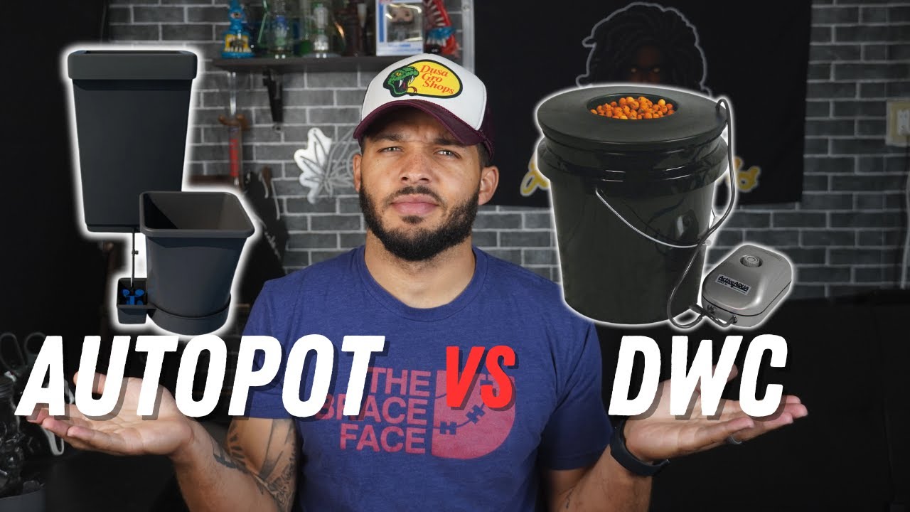 Autopot vs DWC: Low Maintenance vs Fast Growth &ndash; Which Is Better For You?