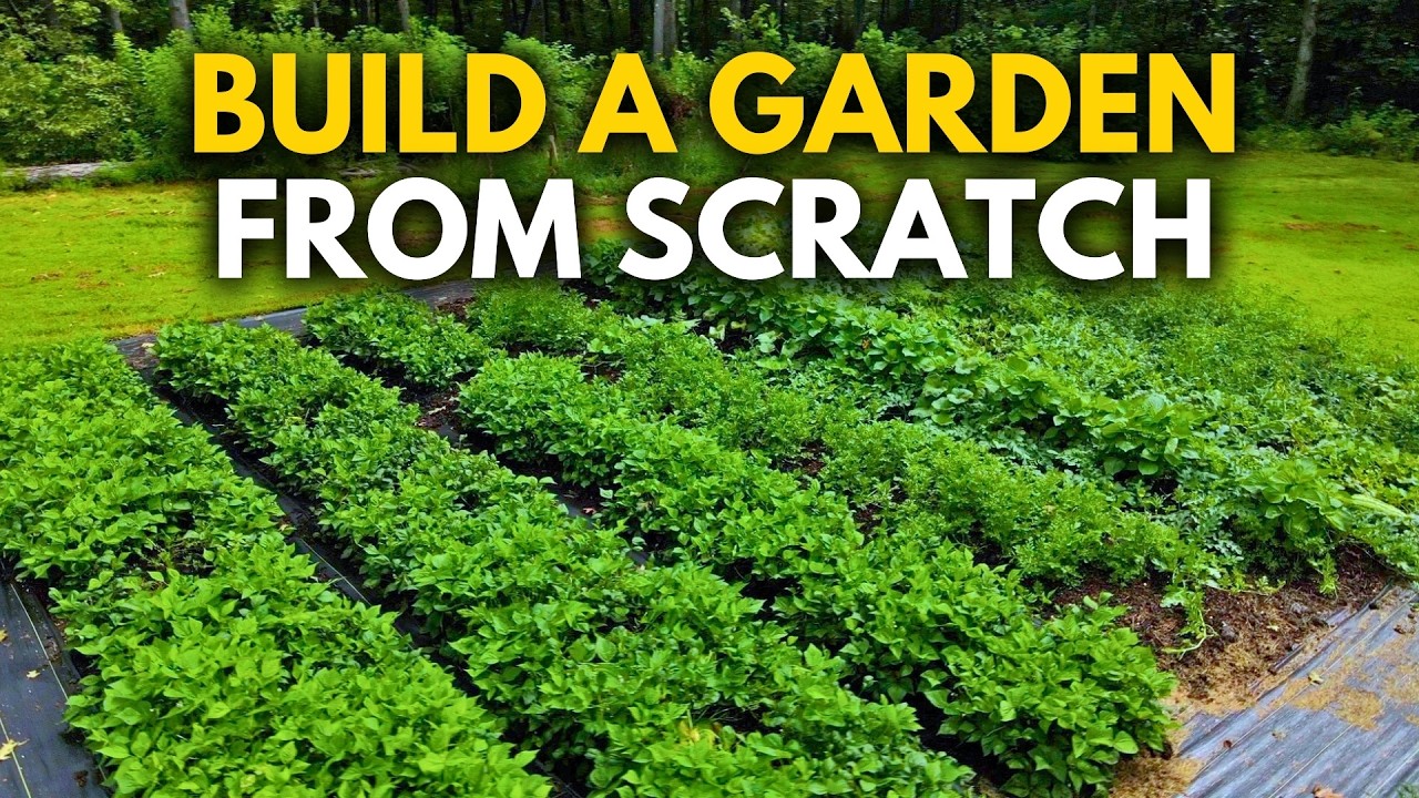 The Easiest No-Till Garden Beds – No Weeding, No Digging!