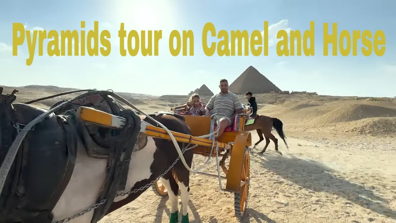 Claimed to the top of Egypt Pyramid,  Visited Great Sphinx of Giza on the Camel and with the horse.