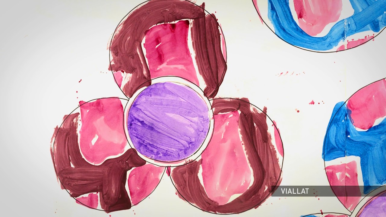 Chagall, Soulages, Benzaken&hellip; Le vitrail contemporain.