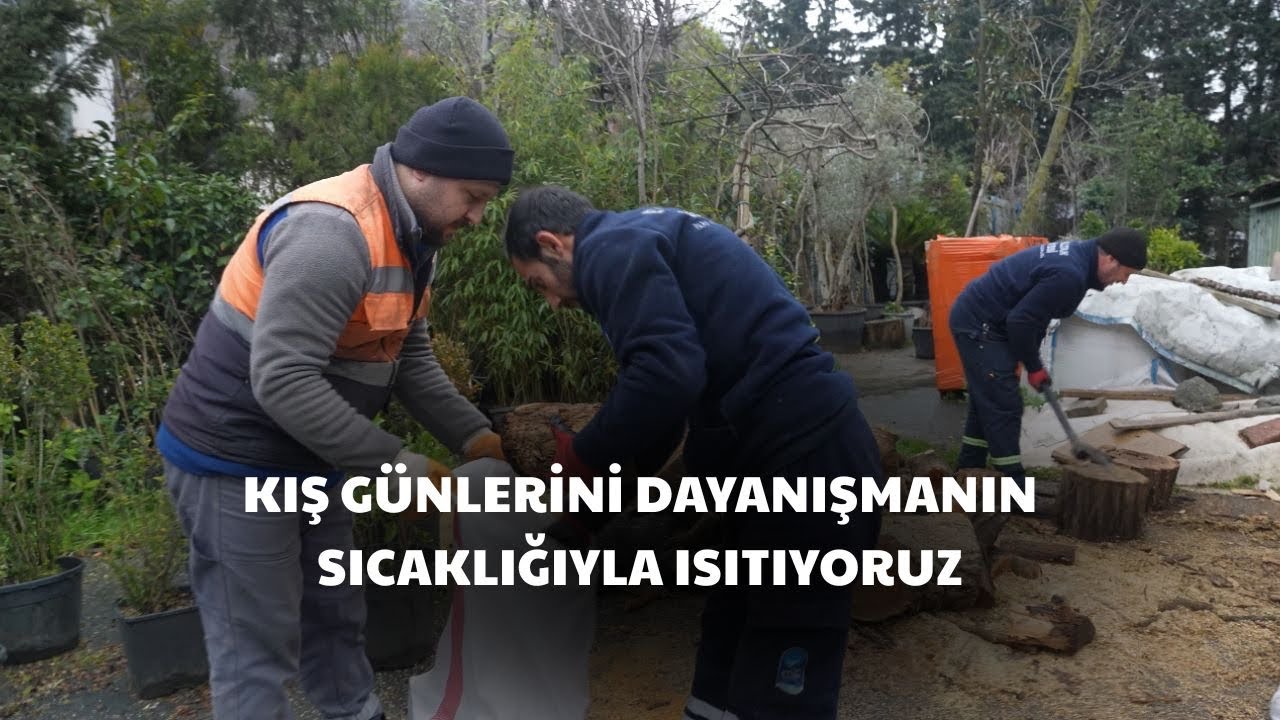 Eyüpsultan'da kış günlerini dayanışmanın sıcaklığıyla ısıtıyoruz.