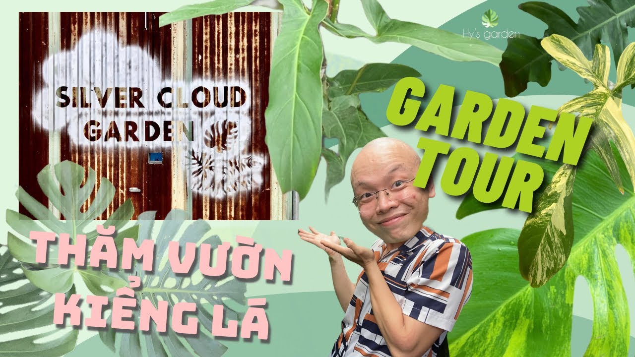 Garden Tour | Quên Lối Về Với Khu Vườn Kiểng Lá Giữa Lòng Sài Gòn