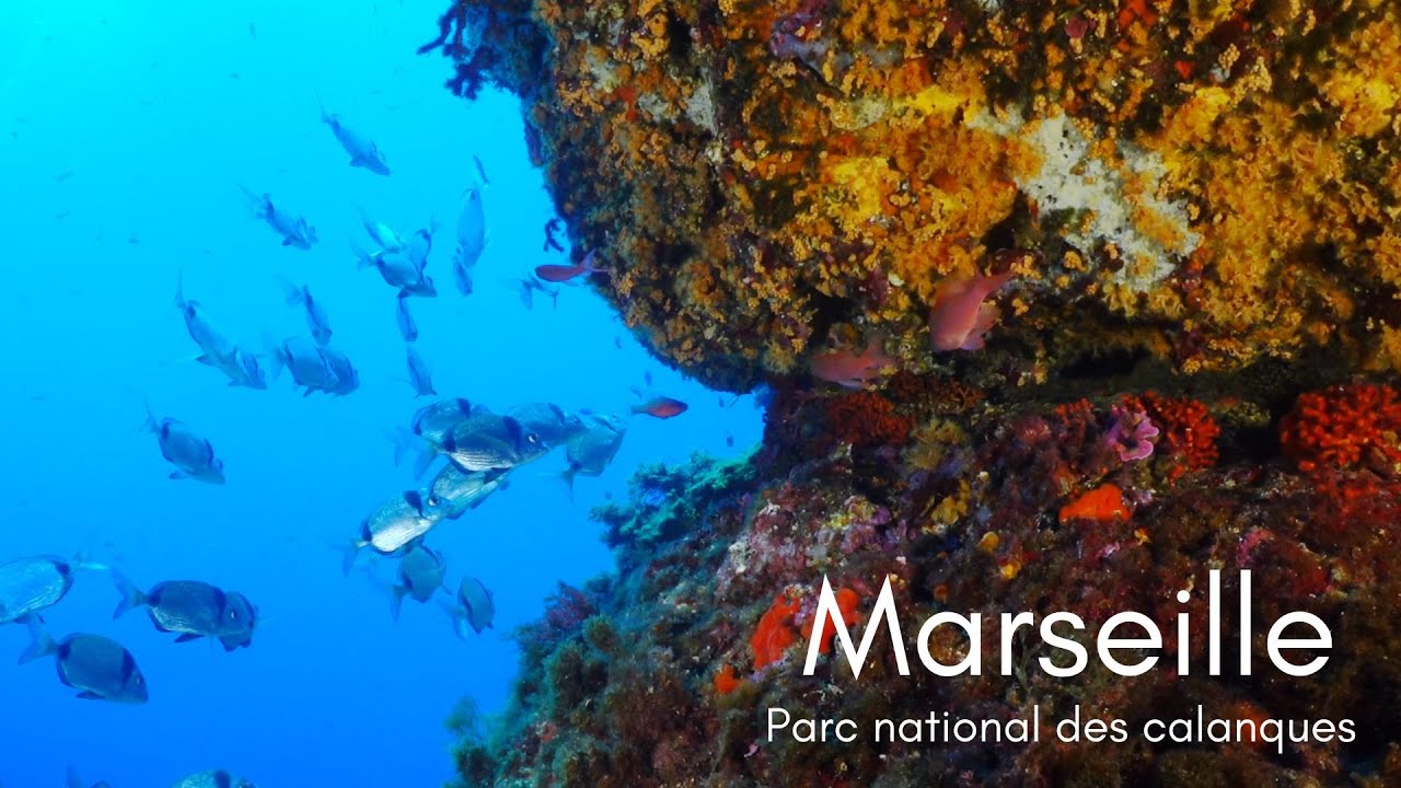 Plong&eacute;e au Parc National des Calanques - Marseille &eacute;t&eacute; 2024