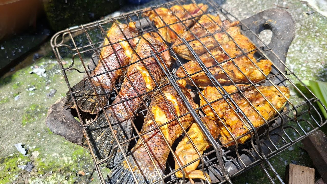 CARA MENGASAP IKAN GABUS, PANGGANG KUTOK KHAS JAWA TIMUR