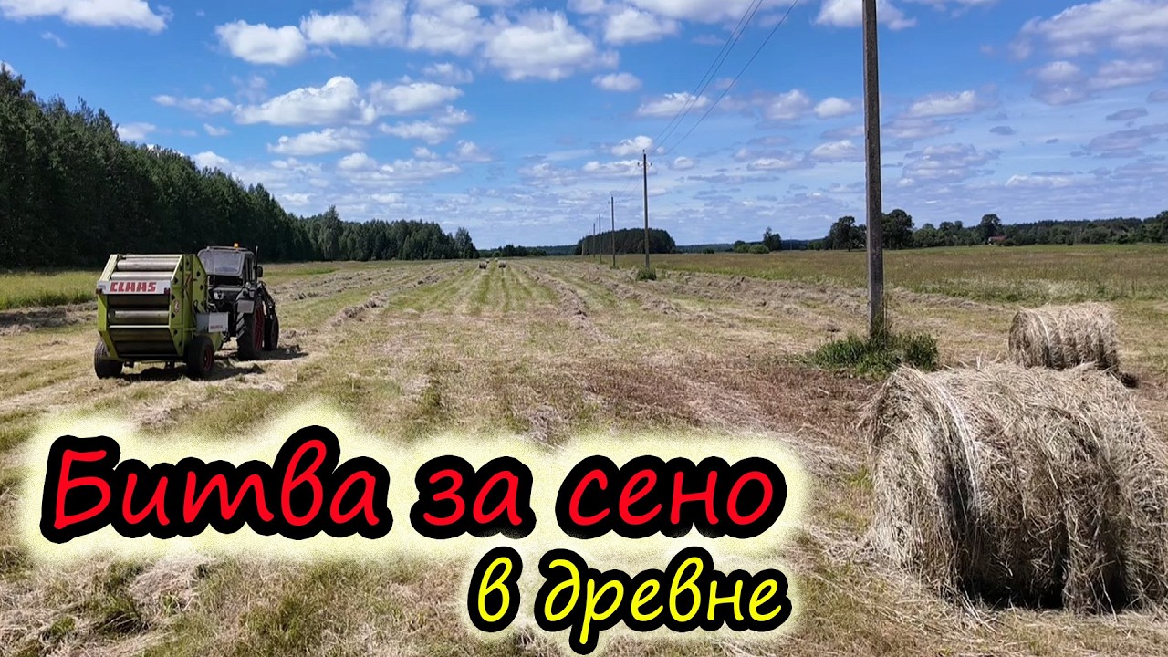 Горячая пора в деревне // Заготовка сена // Дело сделано // Деревенские будни // Семья Лях