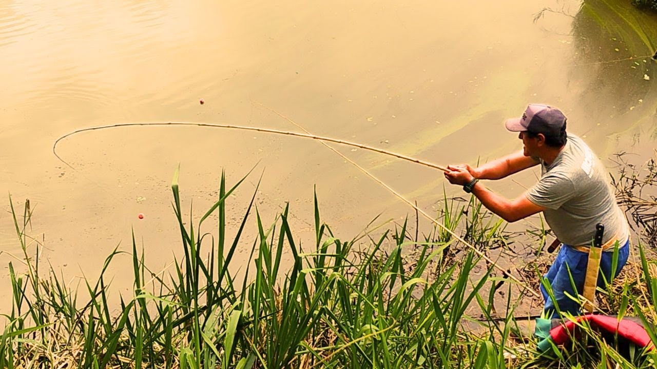 Que PUXADA, só Bitelo na Ponta da Varinha - Pescaria Caipira