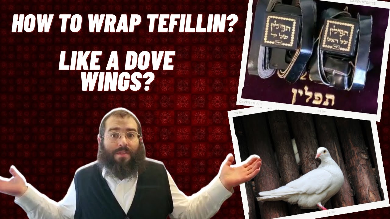Why do we wrap Tefillin straps like Kanfei Yona / Dove wings?  How to properly put away Tefillin.