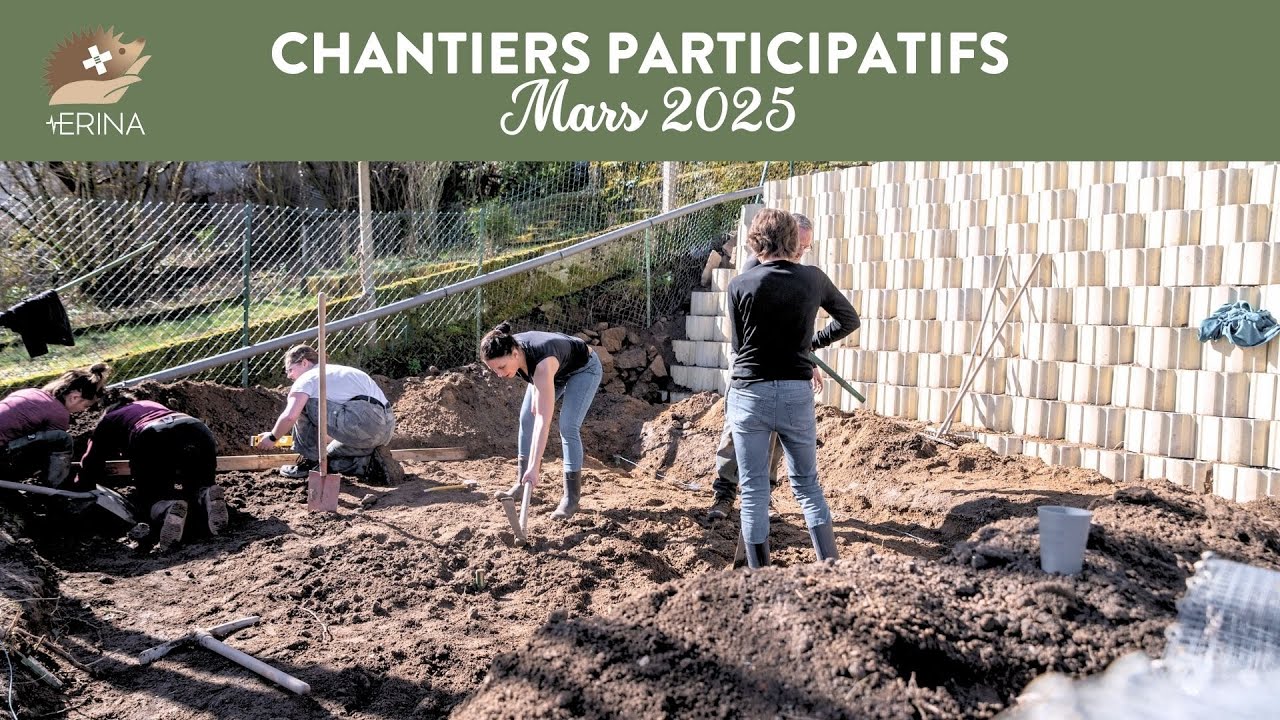 Chantier participatif - Mars 2025