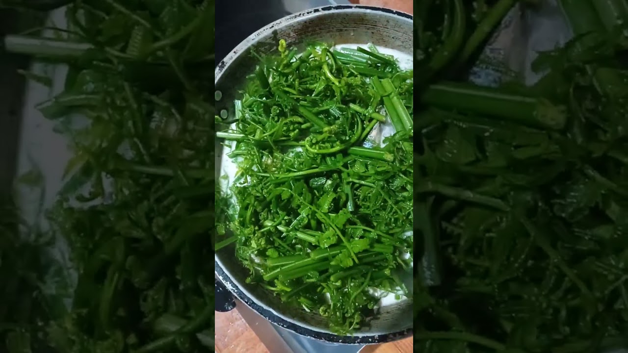 Ginataang paksiw na isdang tambakol with gulay na PAKO mga palangga!