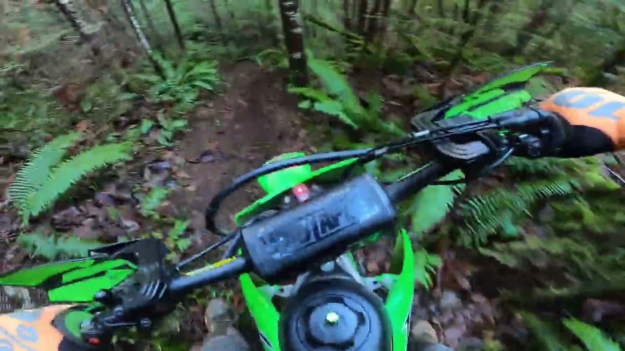 RIPPING THE KLX230R IN THE WOODS / Raw Footage / Gopro