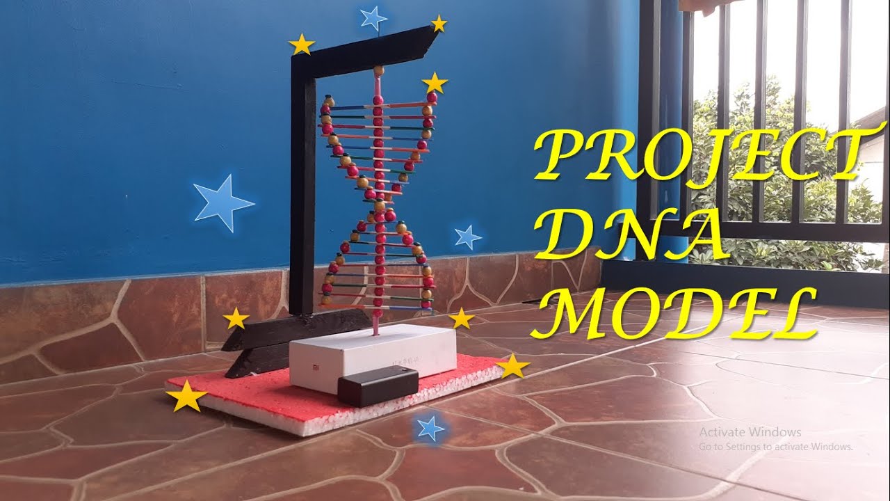 Project DNA Model