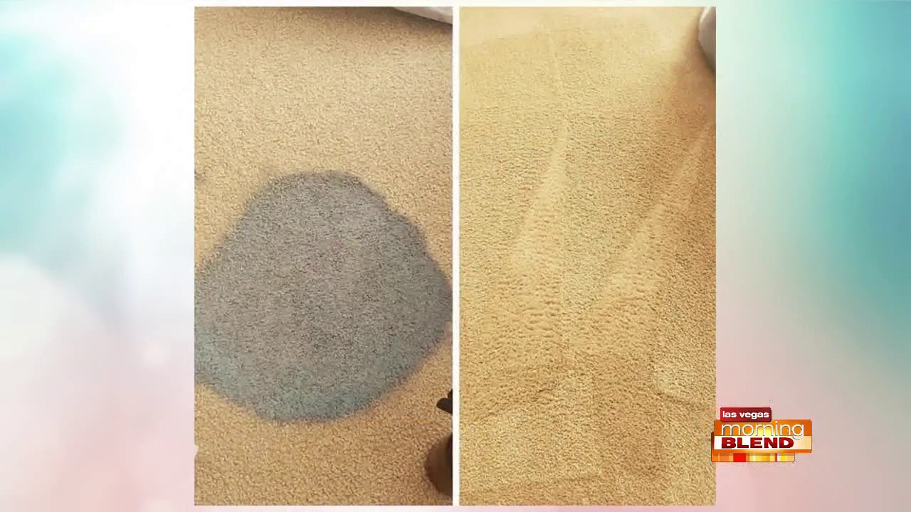 Clean Up Pet Messes With Ease