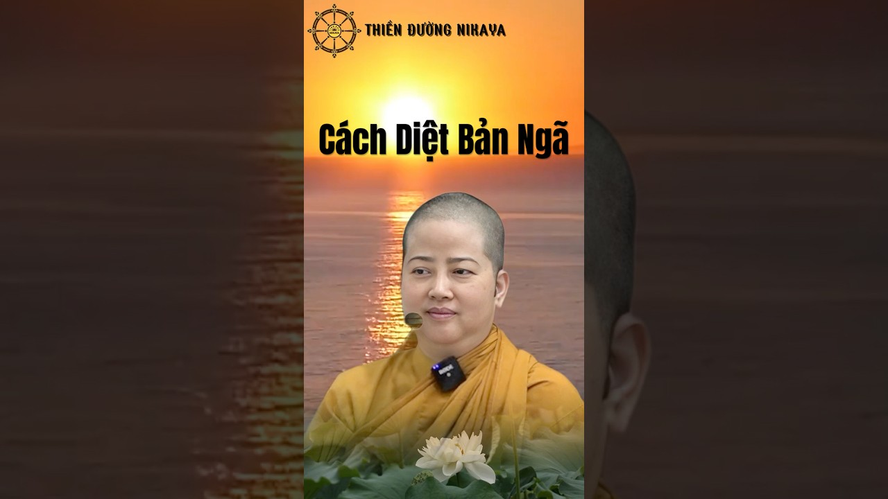 C&aacute;ch Diệt Bản Ng&atilde; _ Chơn T&iacute;n To&agrave;n #phat #chontintoan #nikaya #shorts