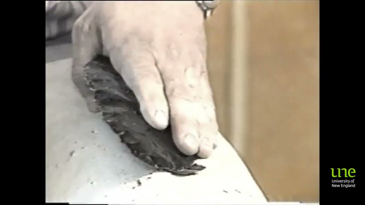 Making an obsidian biface using a soft hammerstone.   Demonstration by Dr J  Jeffrey Flenniken.