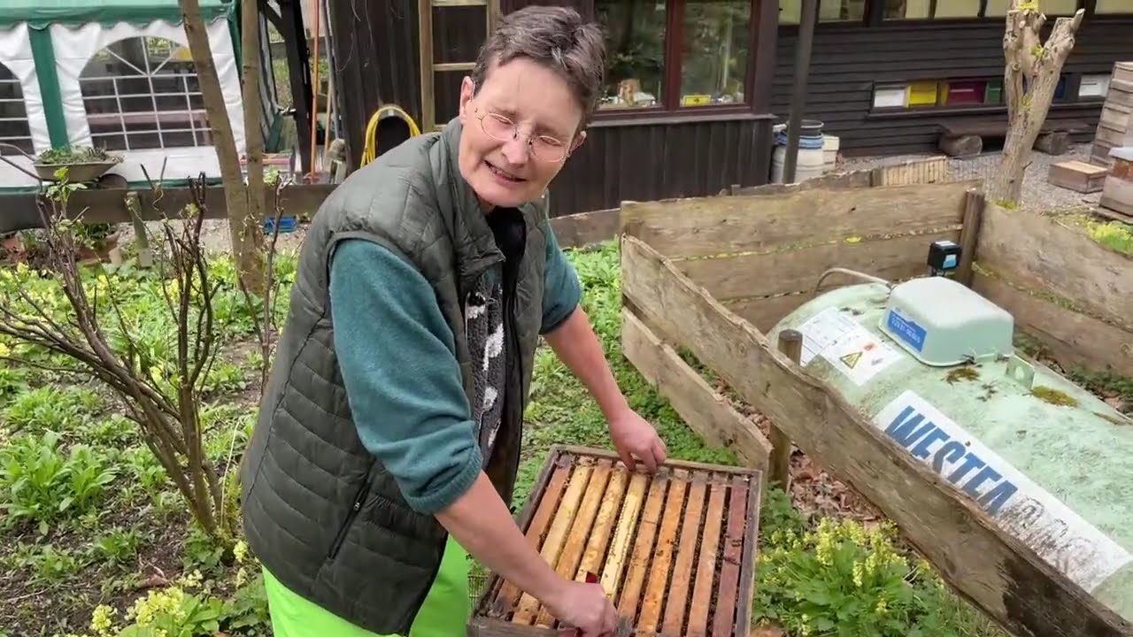 Live von Pias Bienenstand - 03.04.2026