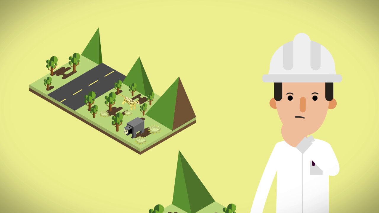 Compensaciones por pérdida de biodiversidad