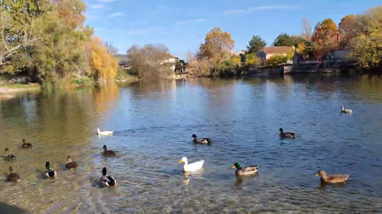 Relax&ducks time,Struge,BiH❣️