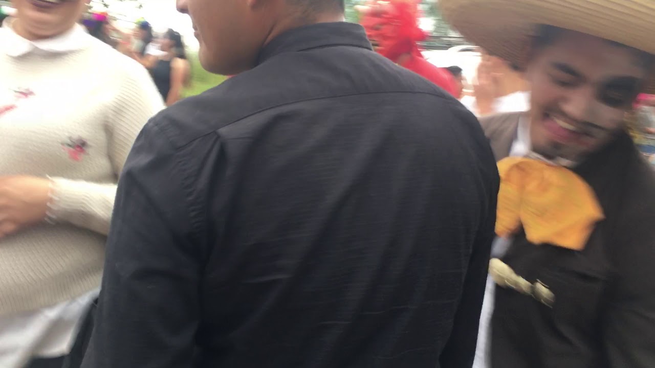 Carnaval 2019 san sim&oacute;n Amatepec