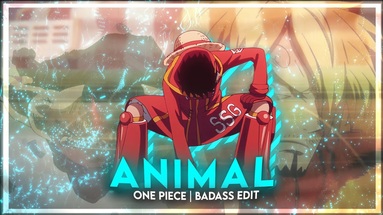 Animal - One piece [ AMV ]