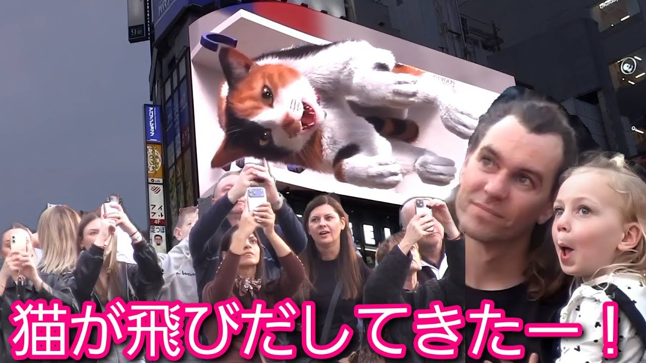 猫が飛びだしてきたー！新宿駅は猫の街？？外国人観光客が3D猫ちゃんを見て大ウケ