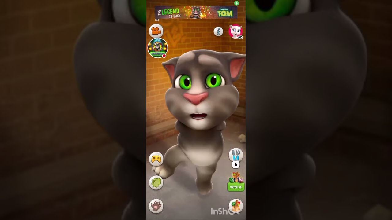 24/7 Talking Tom Live  Funny Tom Voice & Gameplay