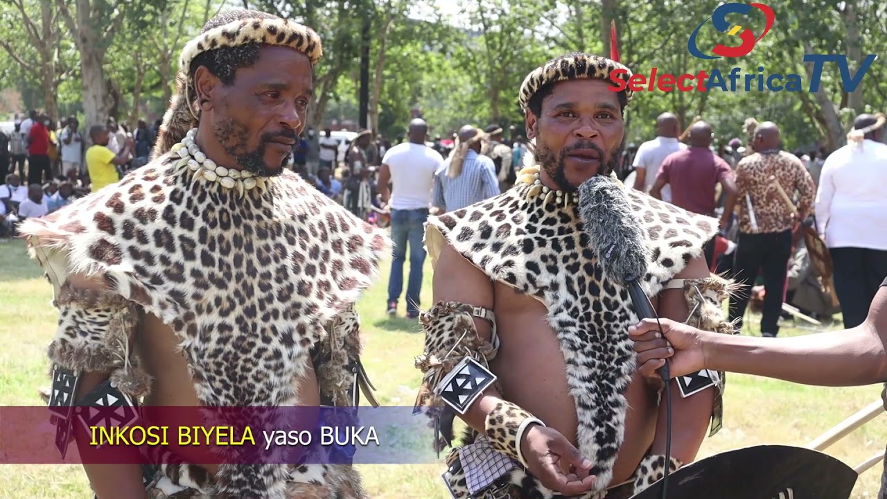 Ngeke ukholwe okushiwe Yinkosi Yakwa Biyela Obuka ecaleni eliqondene nobukhosi bakwa Zulu.