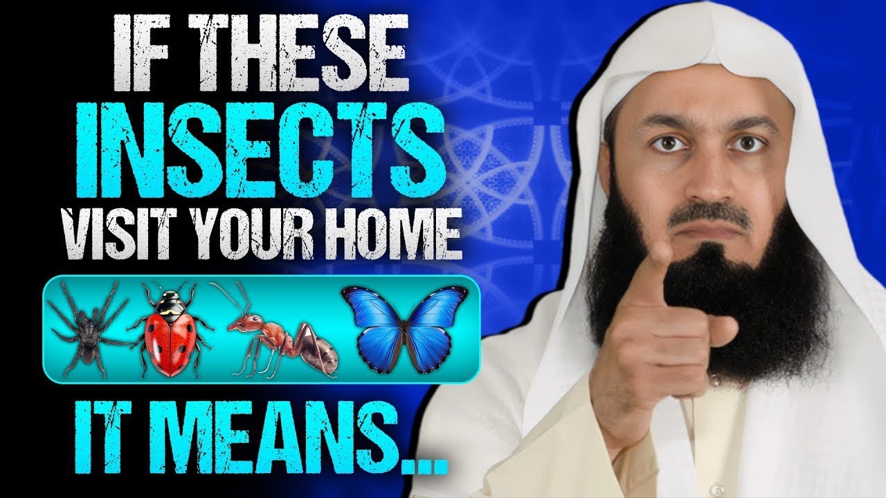 ### https://youtu.be/8zIAfUcTGWI?si=xZUmmxPoPepFndNV – Mufti Menk