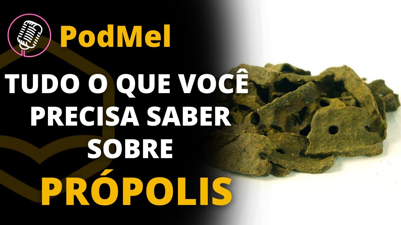 PODMEL #30 - Tudo o que você precisa saber sobre PRÓPOLIS
