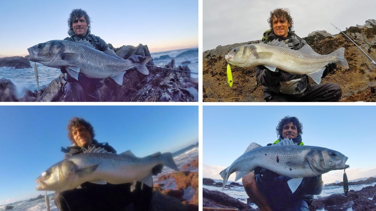 Big Sea Bass Diaries 3 - 18lb bass and 5 Doubles!!
