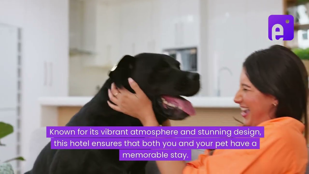 Exploring Pet-Friendly Hotels in Dubai: A Haven for Pet Lovers