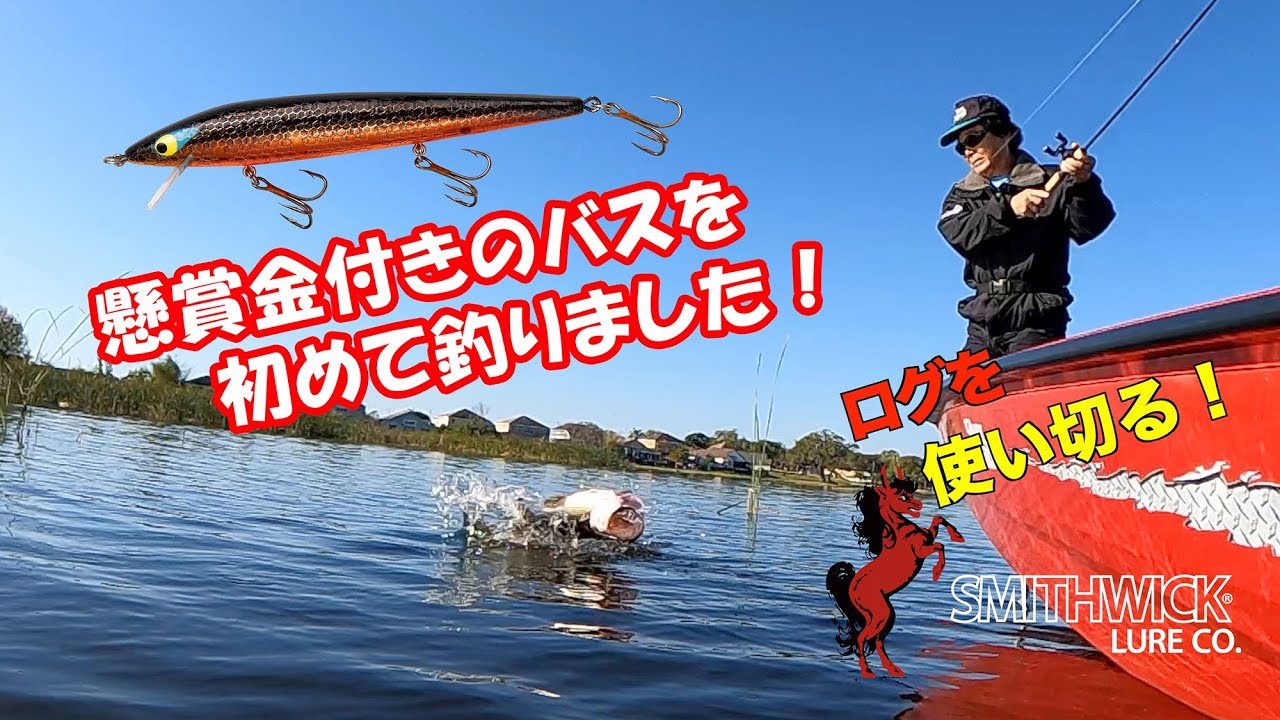 【ヒロ内藤流バス釣り】春にログを使ってデカバス狙い！【HIROism ラトリング・ログ　スミスウィック社】