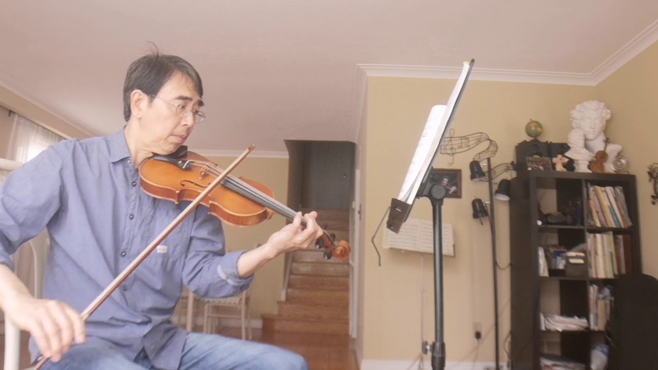 Symphony No.25 in G Minor,K183 by W.A.Mozart violin solo RCM  orchestral excerpts leval 8 part