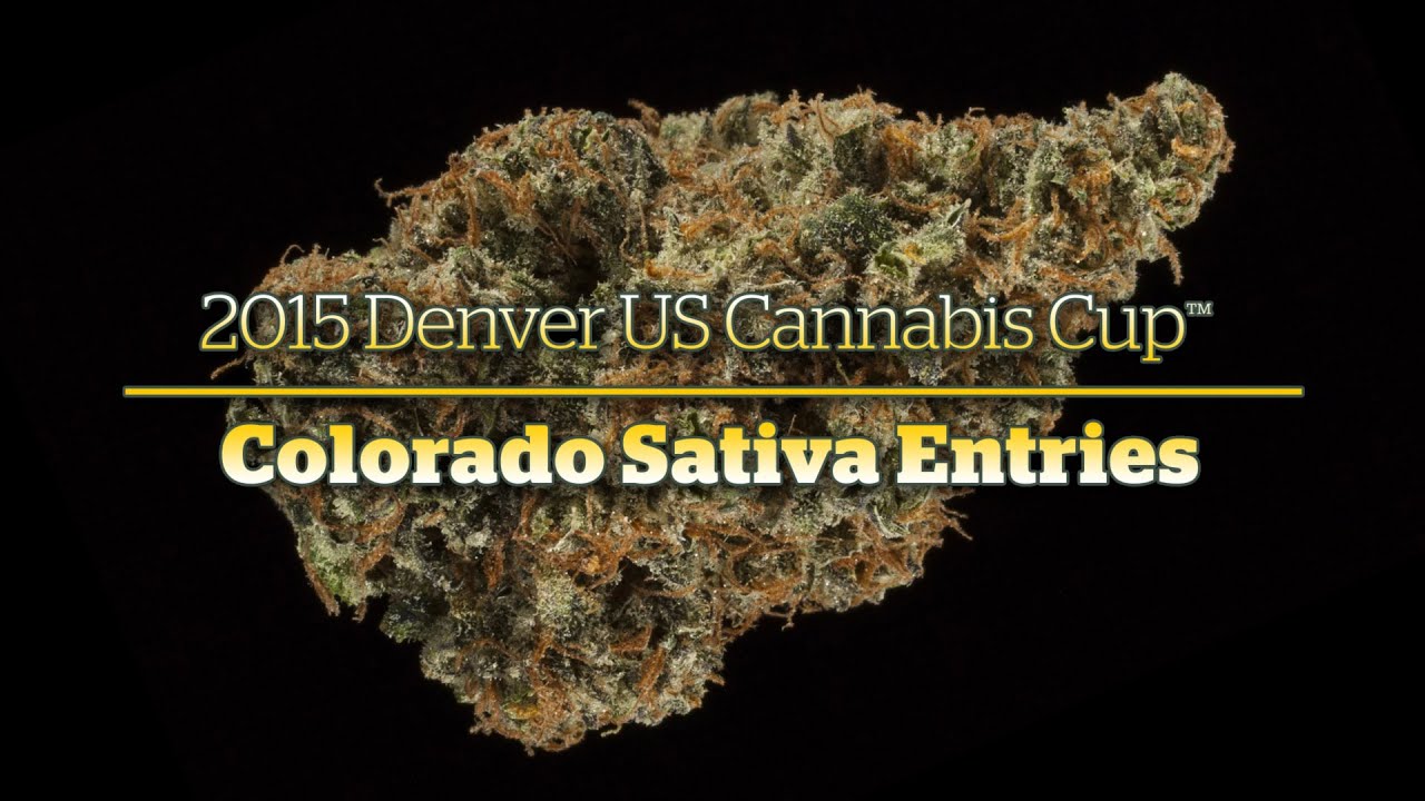 2015 Denver Cannabis Cup: Colorado Sativa Entries