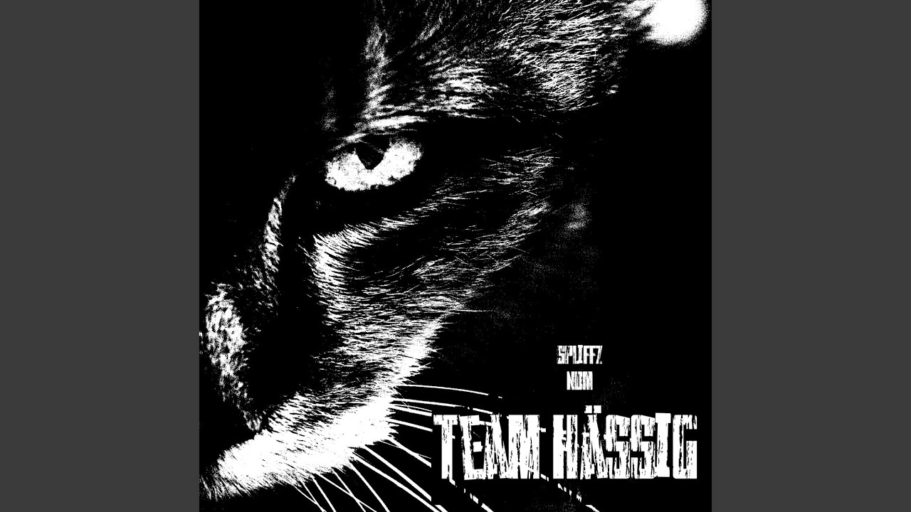 Team Hässig