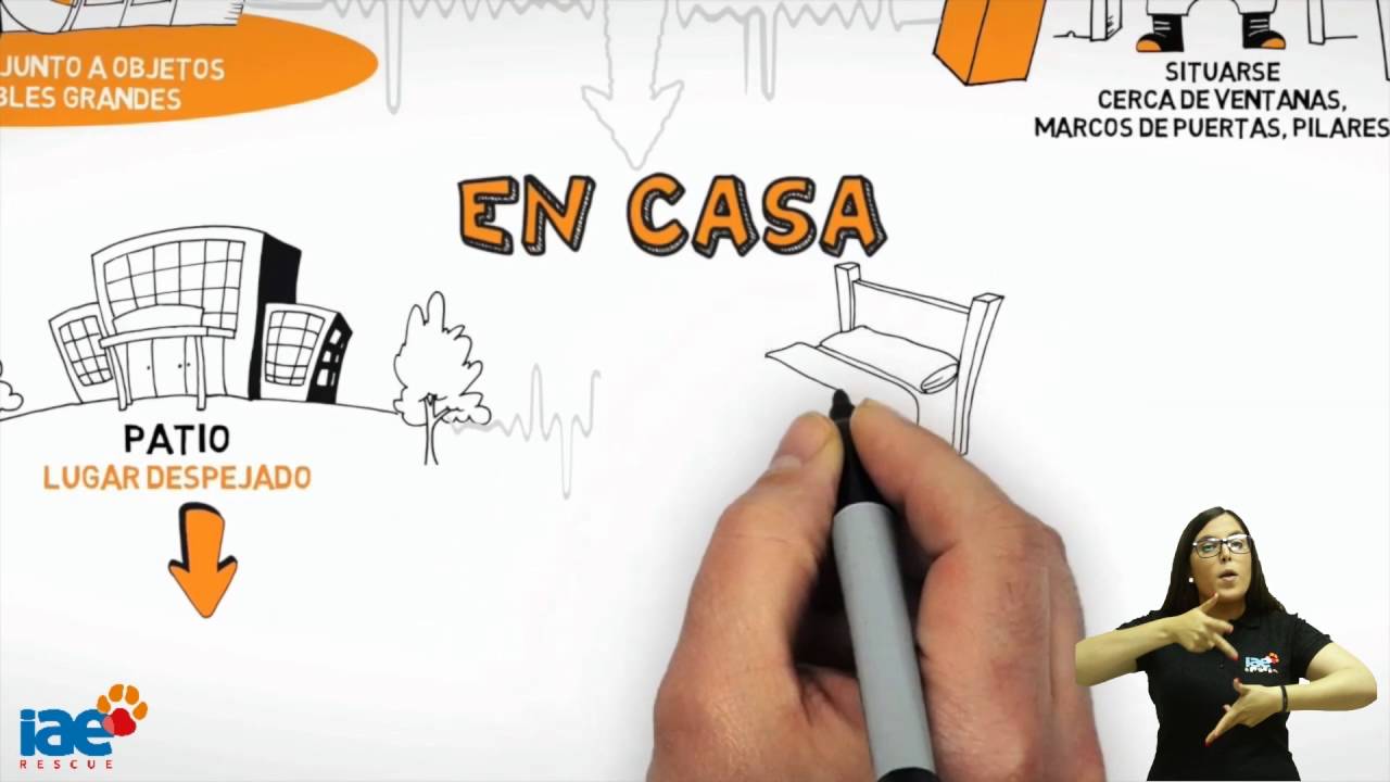ONG IAE - QUE HACER EN CASO DE TERREMOTO (Lengua de Signos)