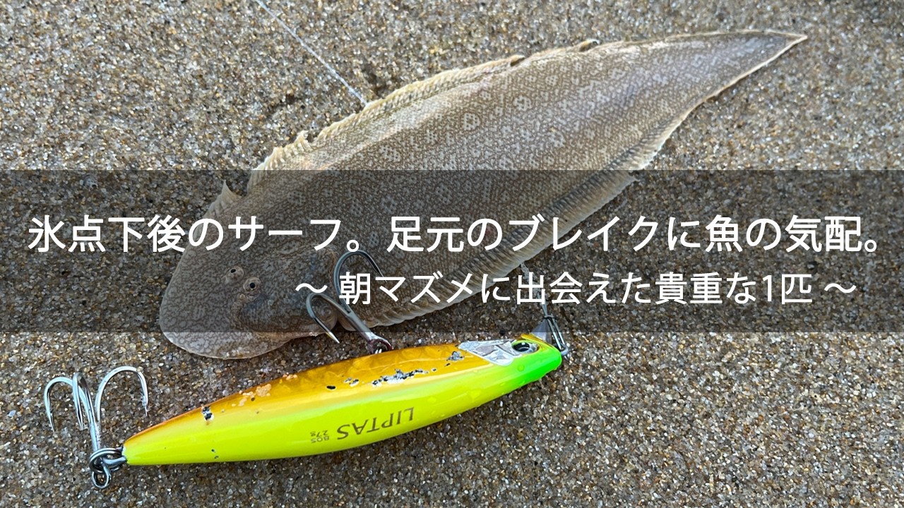 【実釣Vlog】氷点下後のサーフ。足元のブレイクに魚の気配。