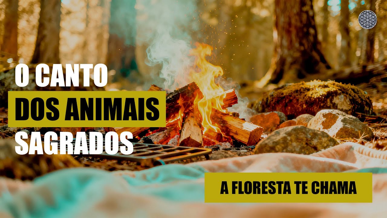 Medicina da Floresta