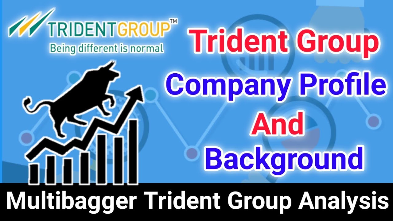 TRIDENT GROUP LIMITED Overview // Company Profile And Background // Trident Ltd Company Profile.