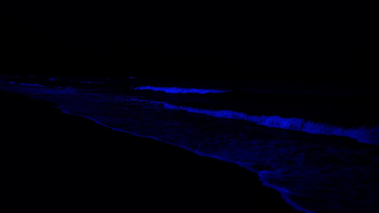 Fall Asleep Instantly with Ocean Waves 💤 Body Mind Restoration, Say Goodbye to Insomnia Forever