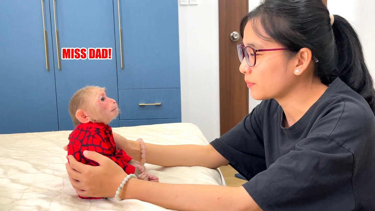 Ты растаешь! Кубис скучает по папе и нуждается в утешении няни.