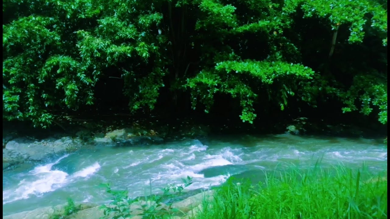 Soothing Water Flowing Ambience for Sleep and Deep Relaxation