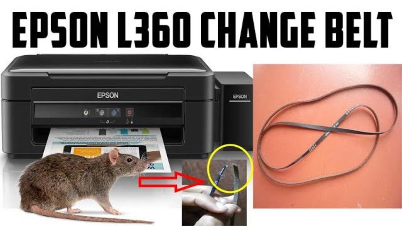 Epson L360 Change Belt