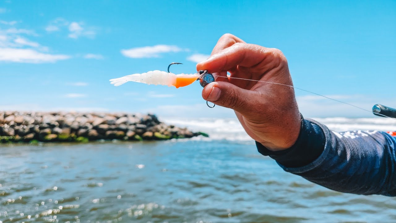 Pescaria de ROBALOS na BOCA de uma BARRA com CAMARÃO ARTIFICIAL!