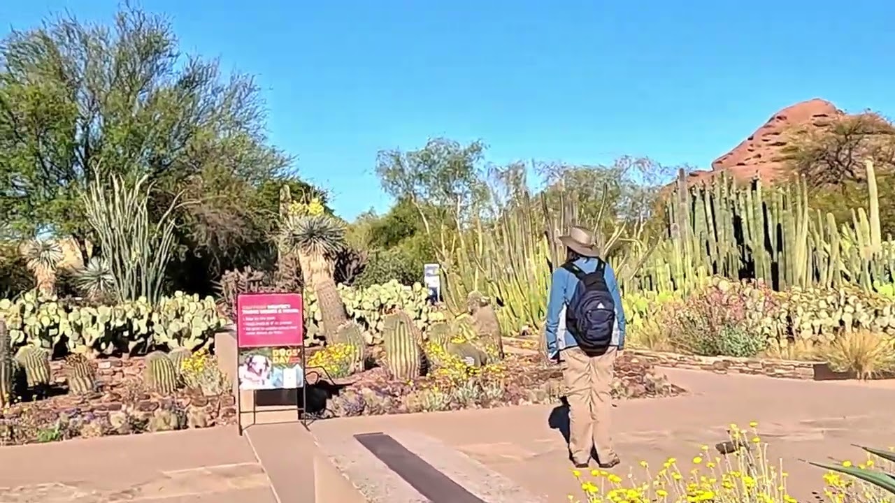 Spring break 2024 in Phoenix, Arizona.