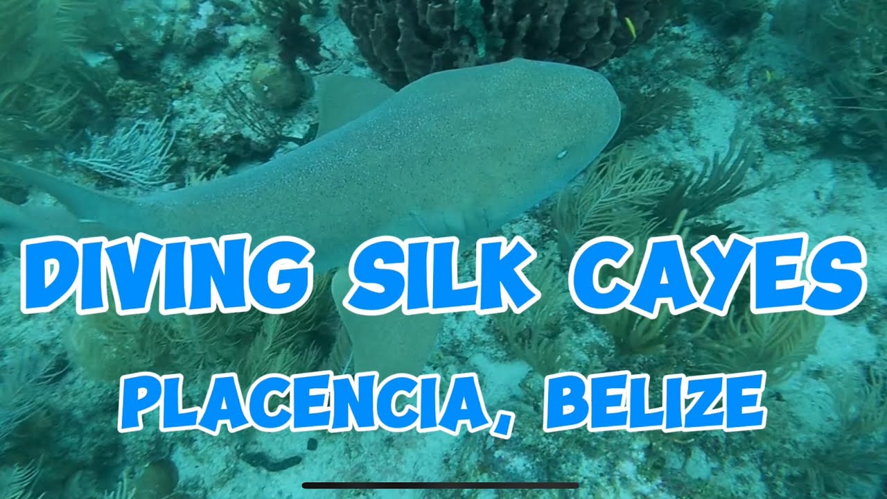 Charles, Dawn, Colter and Emma go scuba diving in Placencia, Belize at Silk Cayes