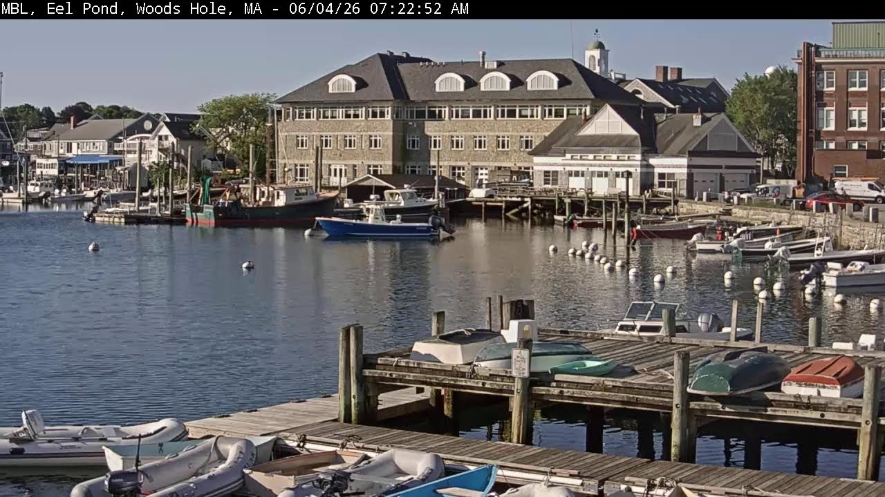 MBL Eel Pond Live Stream