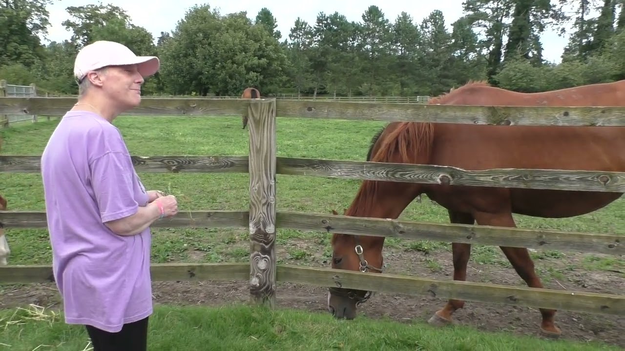 The Irish National Stud 2023 Season 2023-08-20 Sunday, video 1
